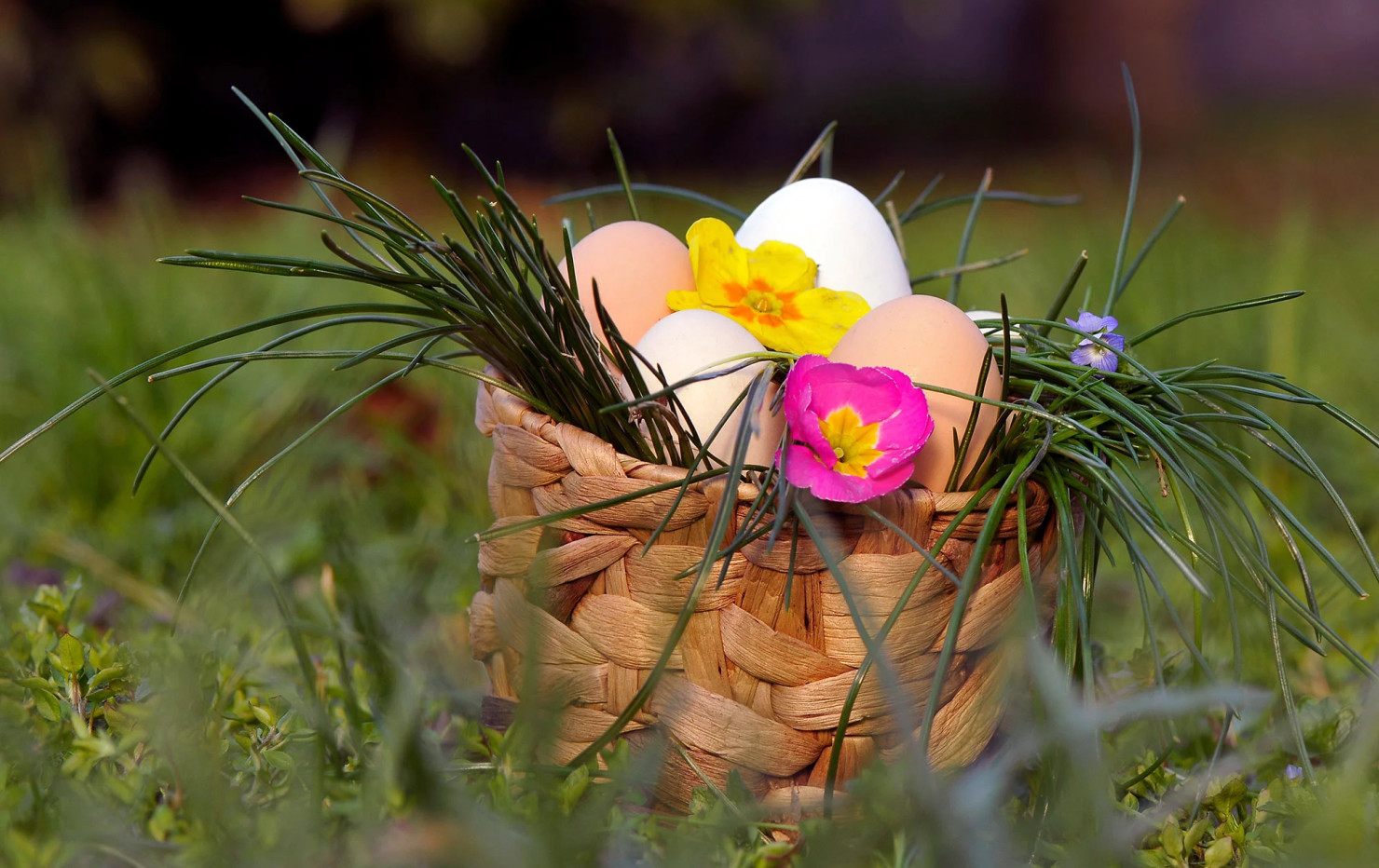media.pasqua_AdobeStock_21022322