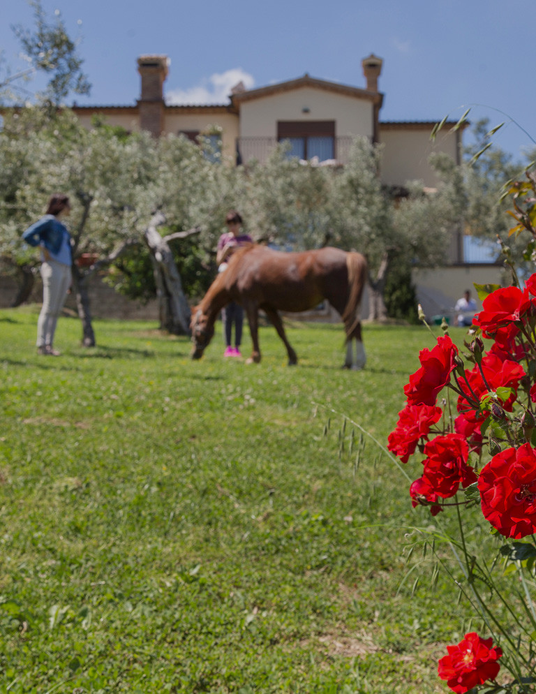 media.offerte-preview-3