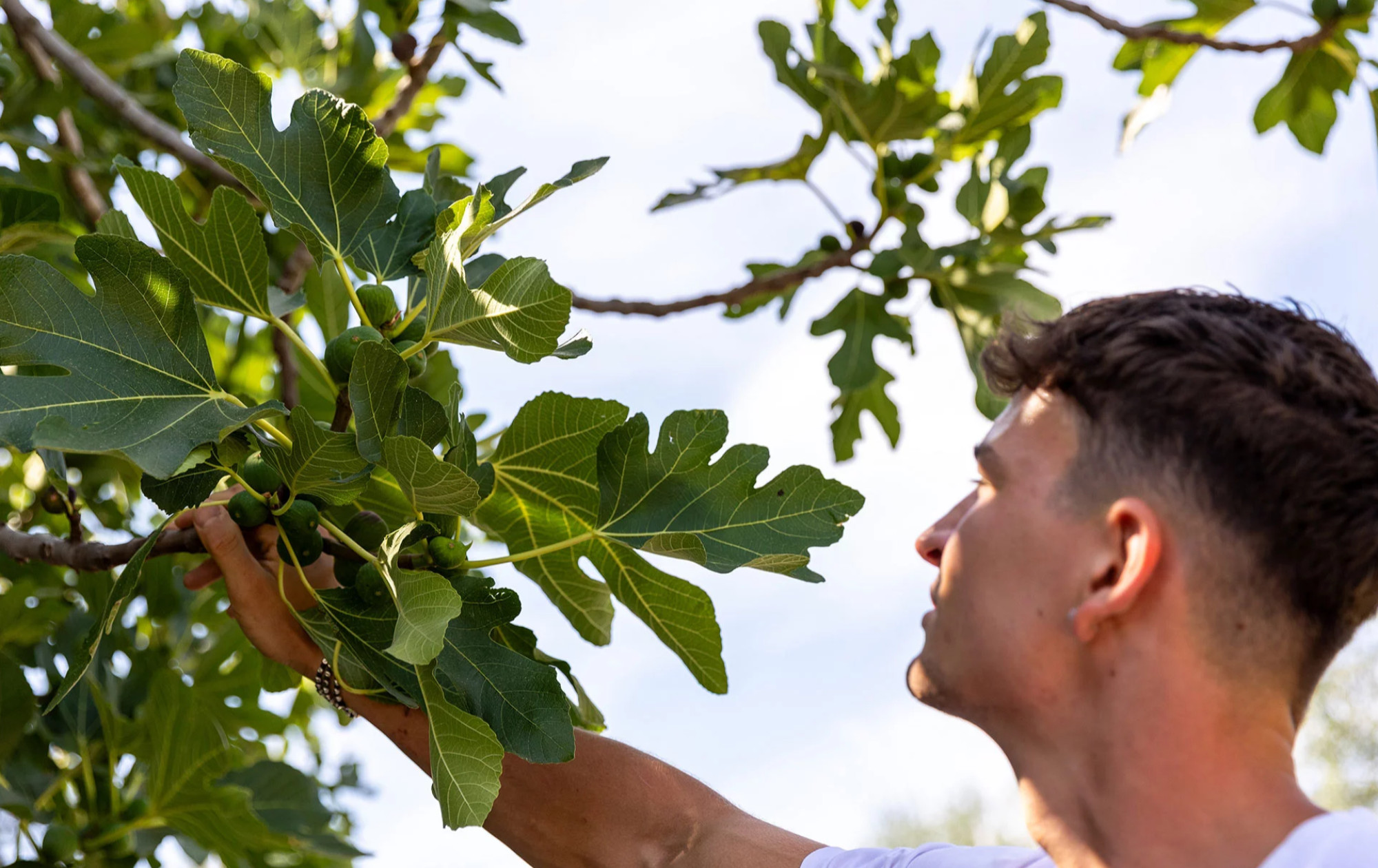media.prodotti-day2-77